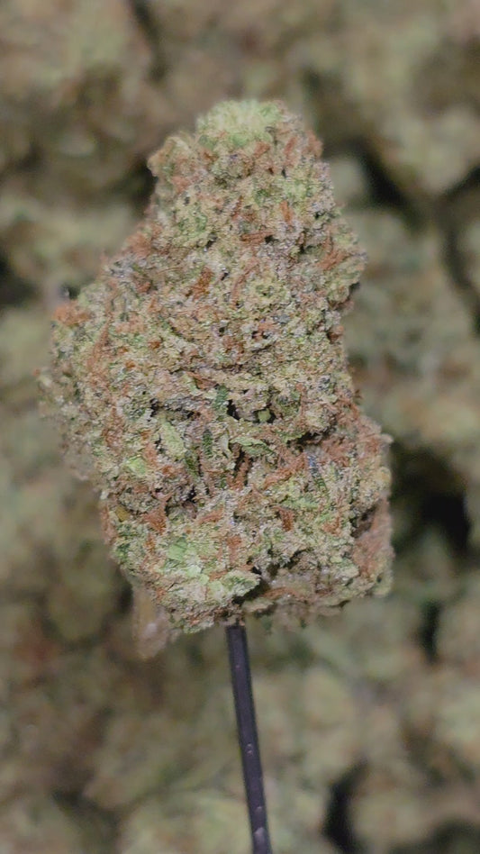 Alaskan Thunder Fuck 33% Thca