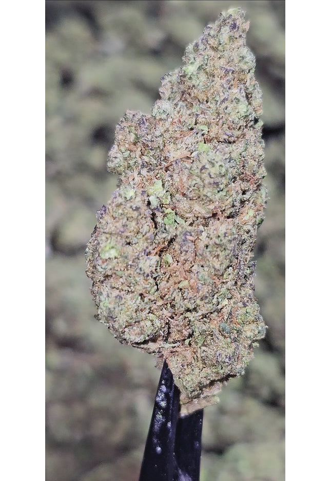 Phat Gorilla 33% Bulk