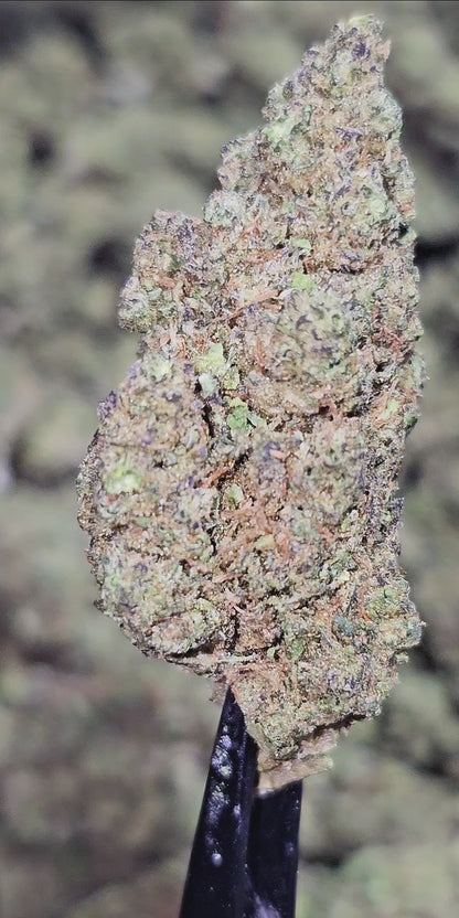Phat Gorilla 33% Bulk