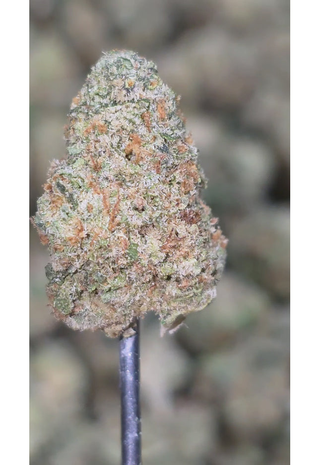 Lemon Jack Smalls 35% Thca  Bulk