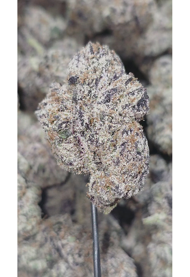 Strawberry Cough 35% THCa