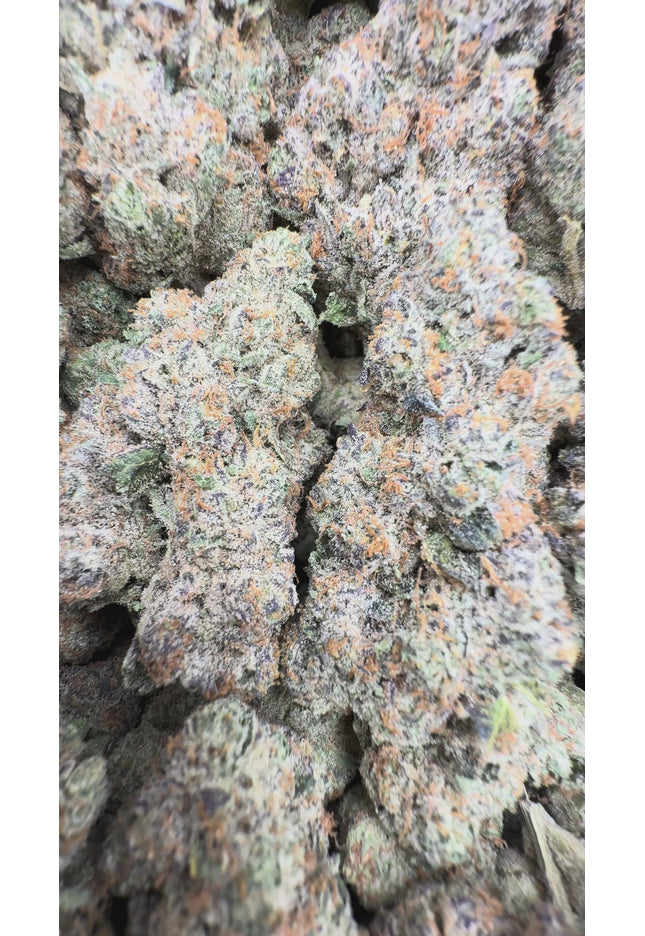 Texada Time Warp 35% Thca (RARE)