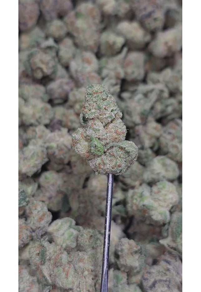 Dr Grinspoon Small 34% Thca