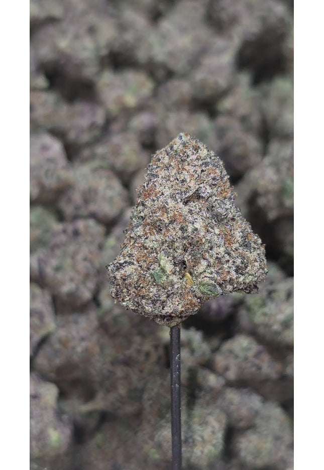 Grape Gas 36% THCA Medium/Small Mix