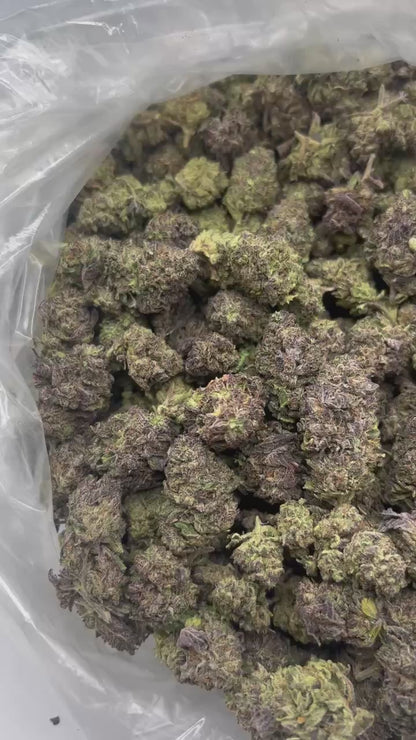 Hallie Berry 33.8% Thca