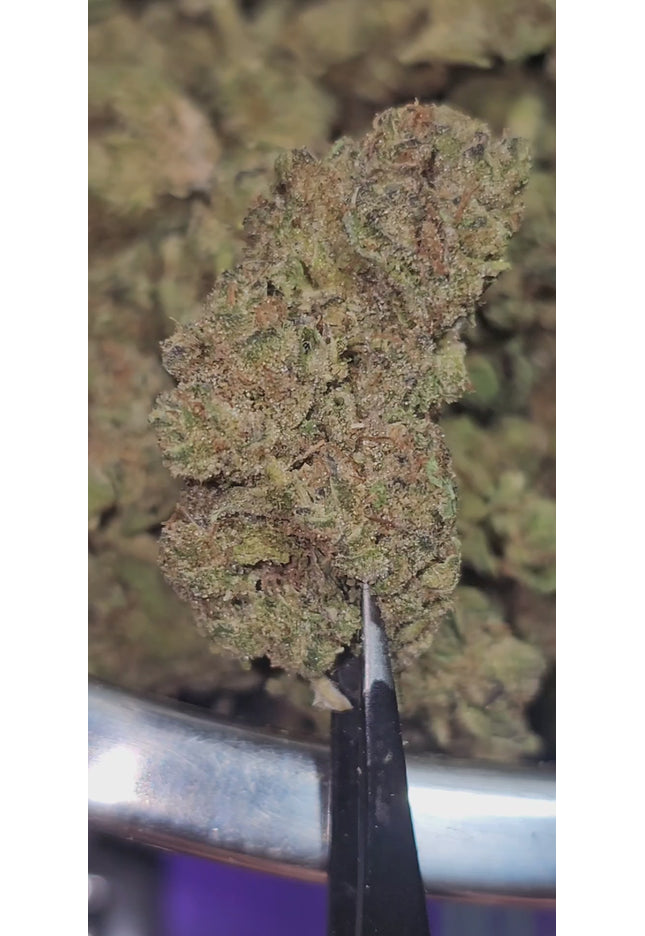 Violator Kush 31% Thca Bulk