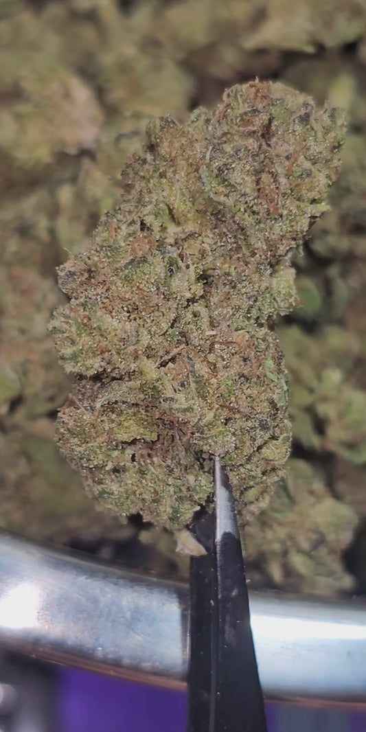 Violator Kush 31% Thca