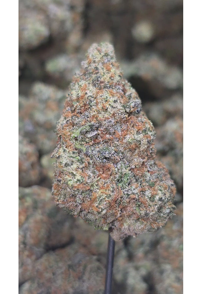 Zookies 34% THCa