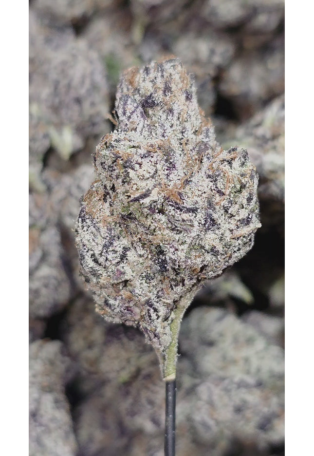 Cotton Candy 36% Thca (New Grow) Bulk