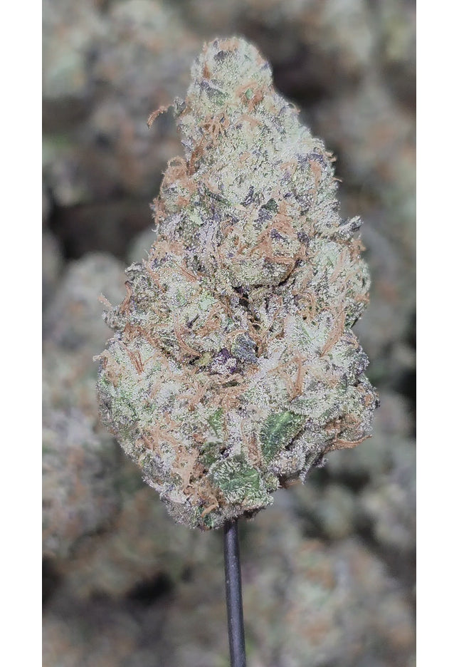 Destroyer 36% Thca (New Grow)