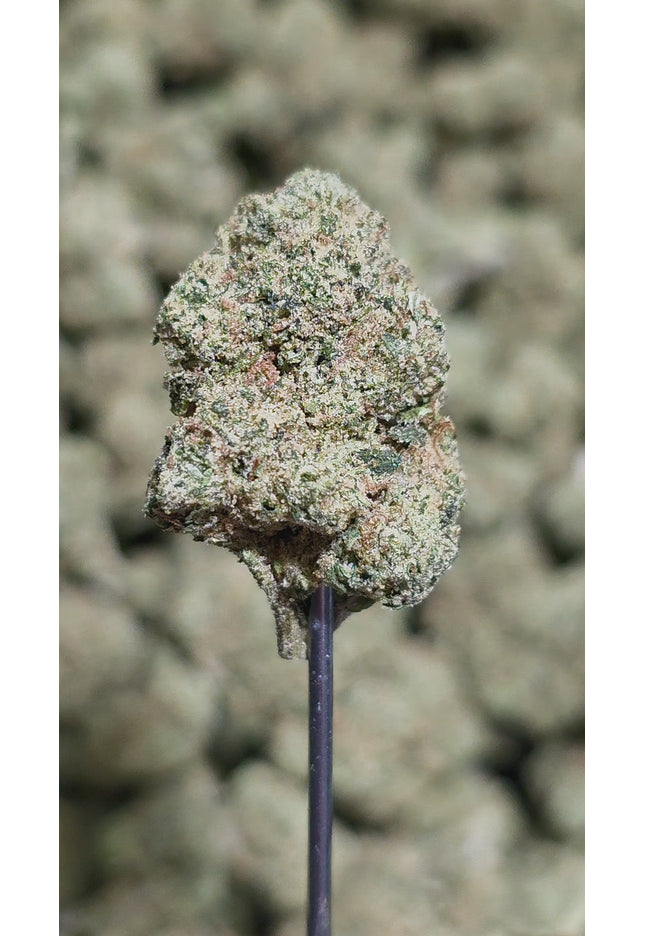 Space Runtz OG Med 32%