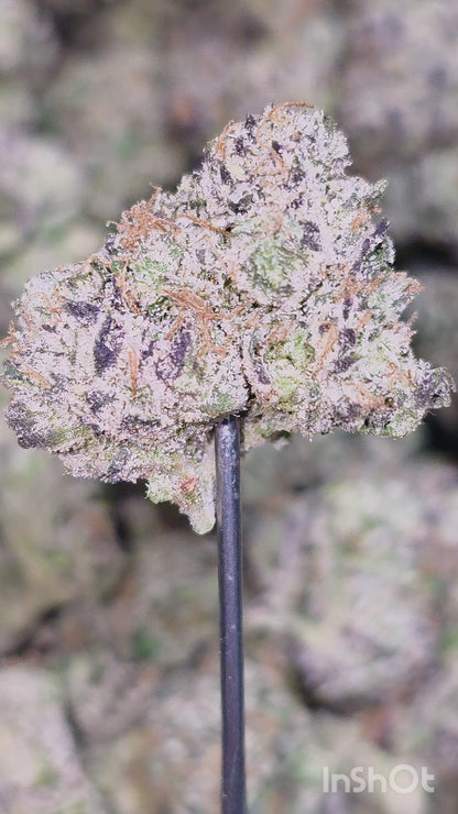 Mendo Breath 36% THCa Mediums