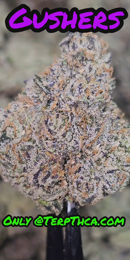 Gushers 36%  Thca