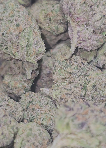 best potency exotic discount thca hemp exotic flower buy pounds online fast shipping cheap discount bulk wholesale price online 