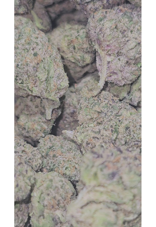 best potency exotic discount thca hemp exotic flower buy pounds online fast shipping cheap discount bulk wholesale price online 