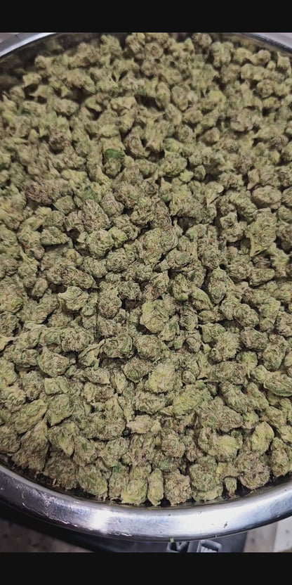 Candy Glue 33% Bulk