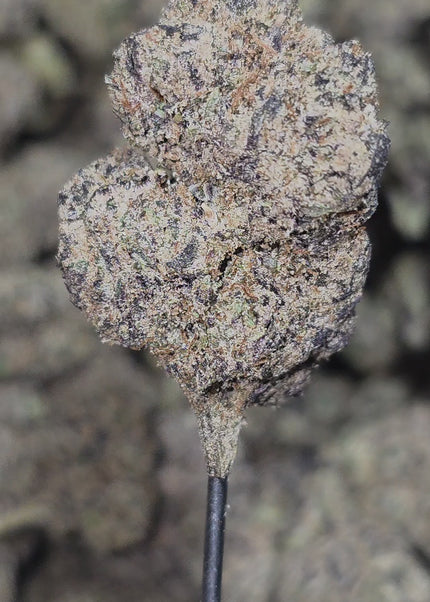 best-potency-exotic-thca-hemp-flower-bulk-wholesale
