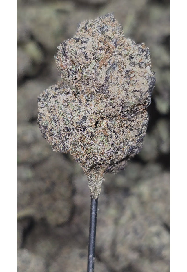 best-potency-exotic-thca-hemp-flower-bulk-wholesale