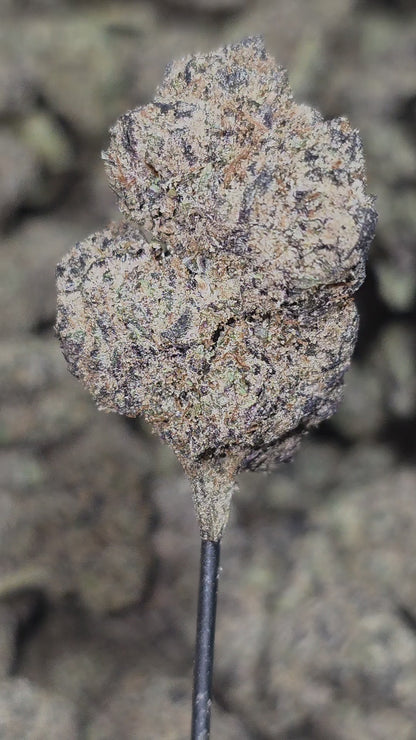 OG Eddy Lepp 35% Thca