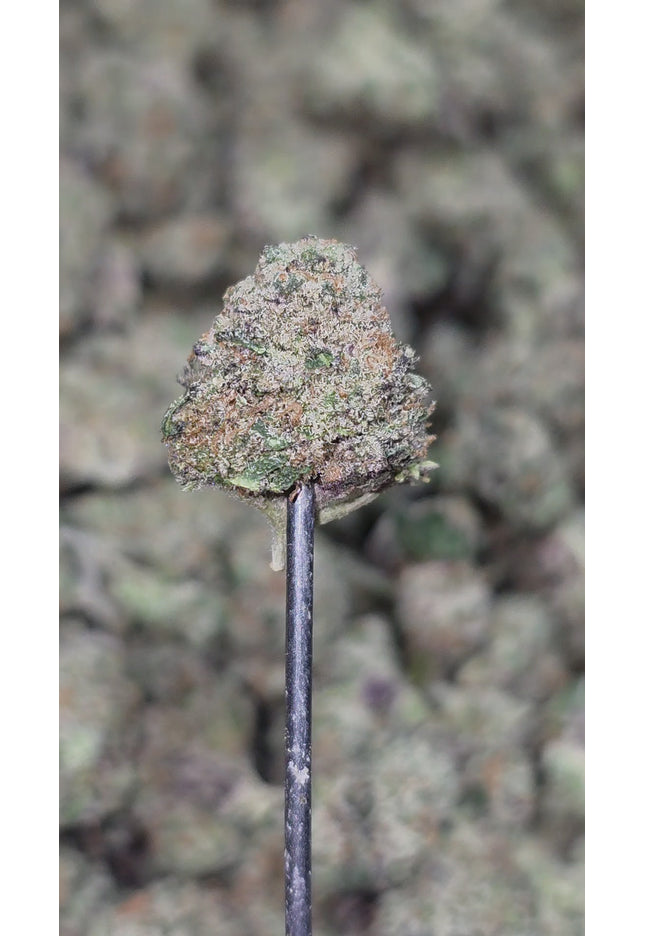 Blue Nerdz SM  35% Thca Bulk