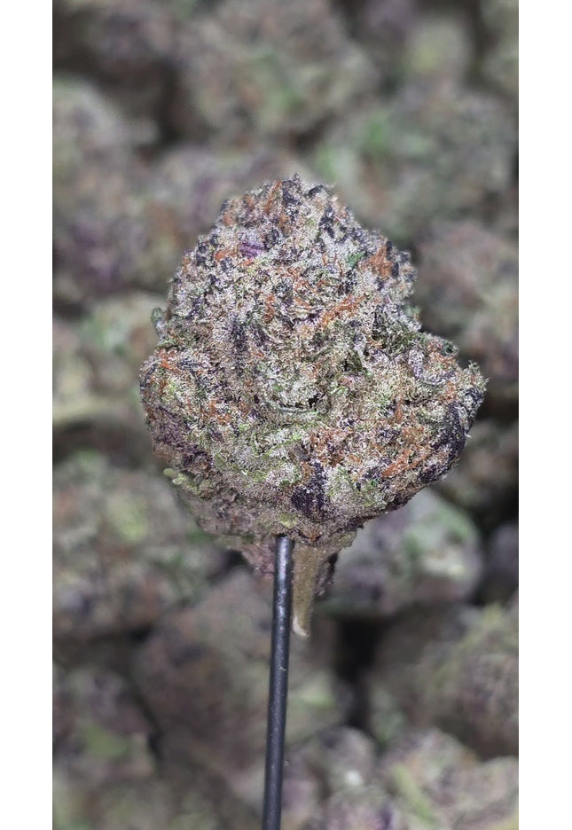 Bodhi Satsuma 33% Thca (RARE STRAIN)