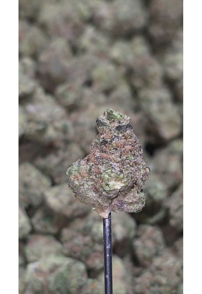 Facewreck 31% Thca Smalls