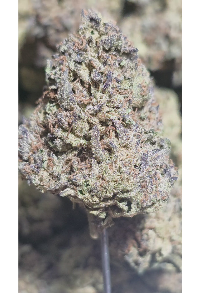 Tropicana 32% Thca  (RARE Strain)
