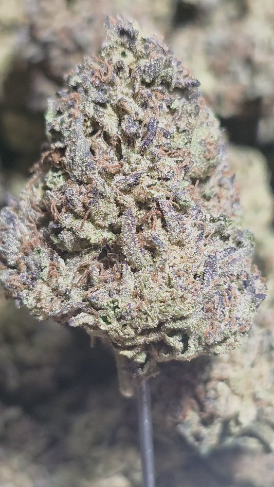 Tropicana 32% Thca  (RARE Strain)