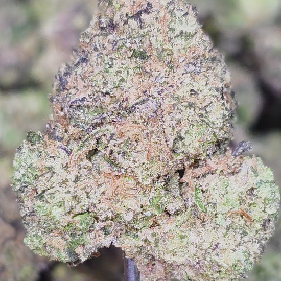 Wholesale exotic THCa hemp flower discount online