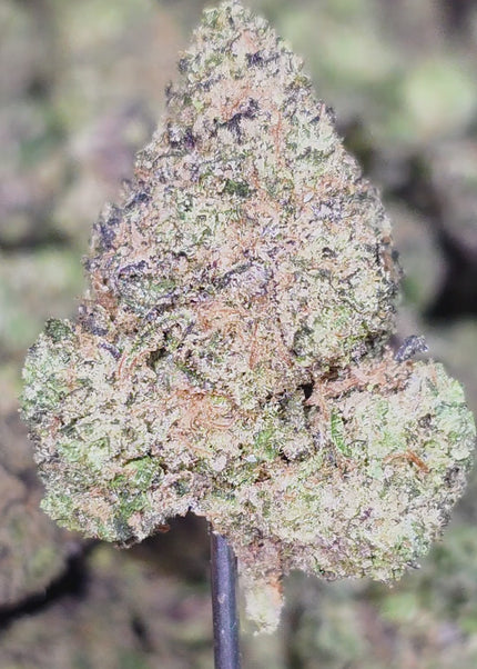 Wholesale exotic THCa hemp flower discount online