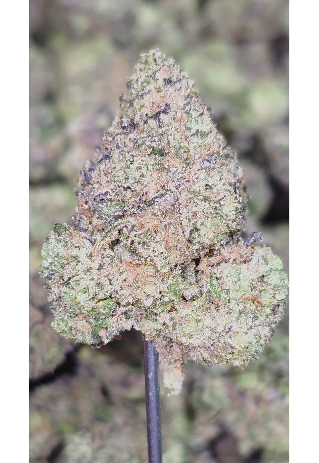 Wholesale exotic THCa hemp flower discount online