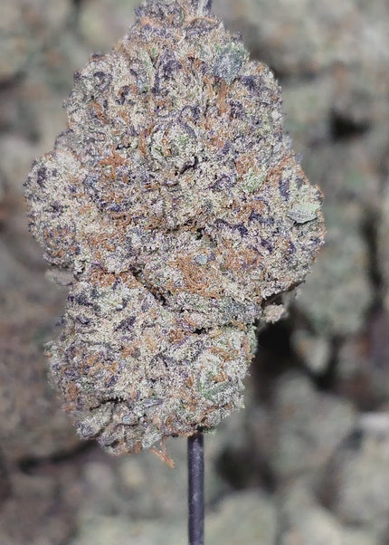 buy exotic thca hemp flower pounds cheap fast shipping