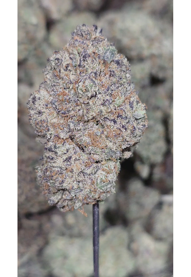 buy exotic thca hemp flower pounds cheap fast shipping