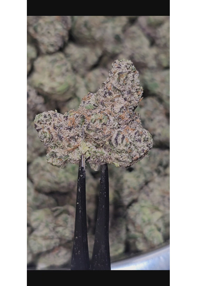 Thai Stick 34% THCa (RARE STRAIN) BULK