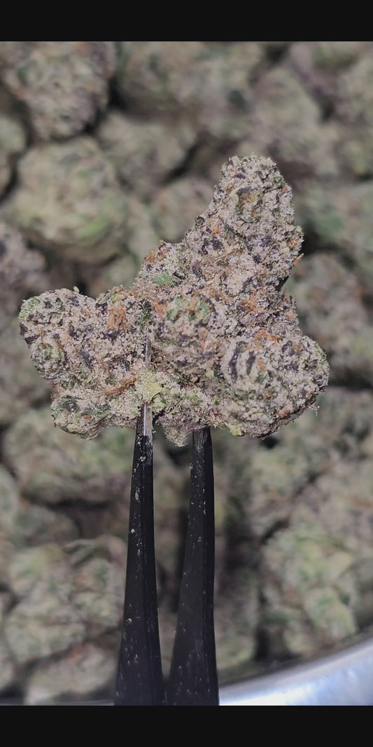 Thai Stick 34% THCa (RARE STRAIN) BULK