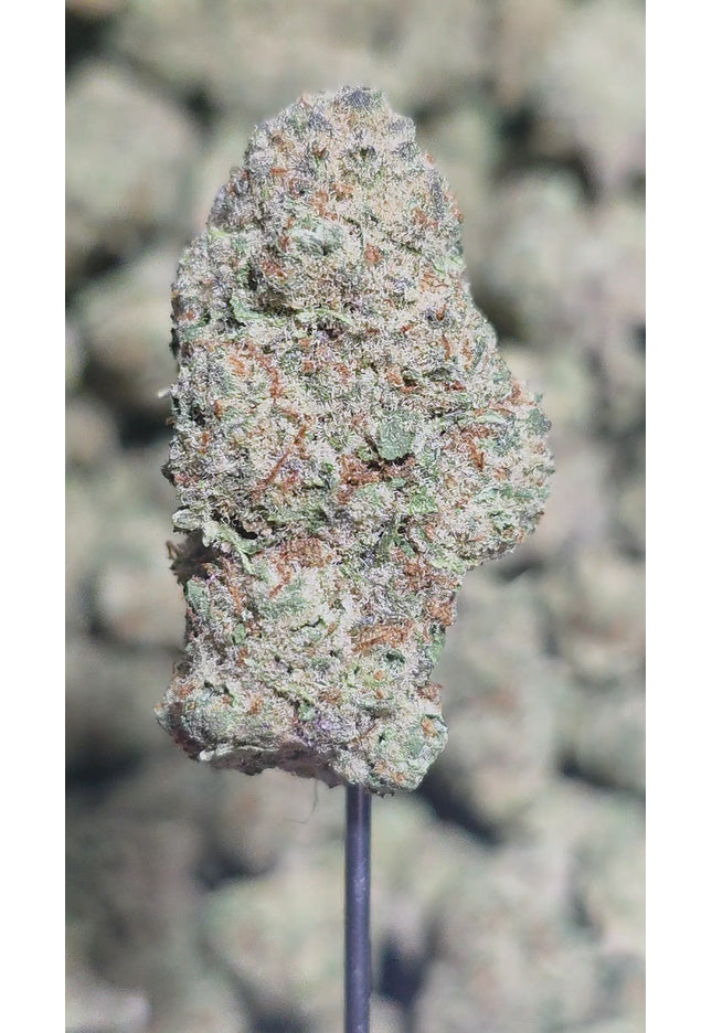 Blue Dream Medium 32% Thca Bulk