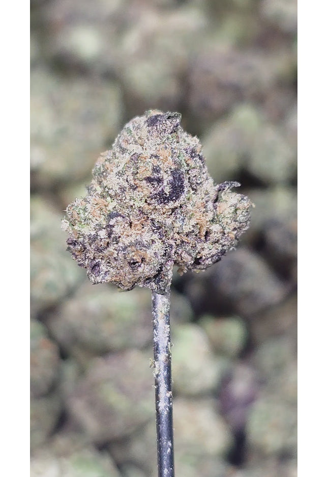 London Pound Cake Smalls 34% THCa Bulk