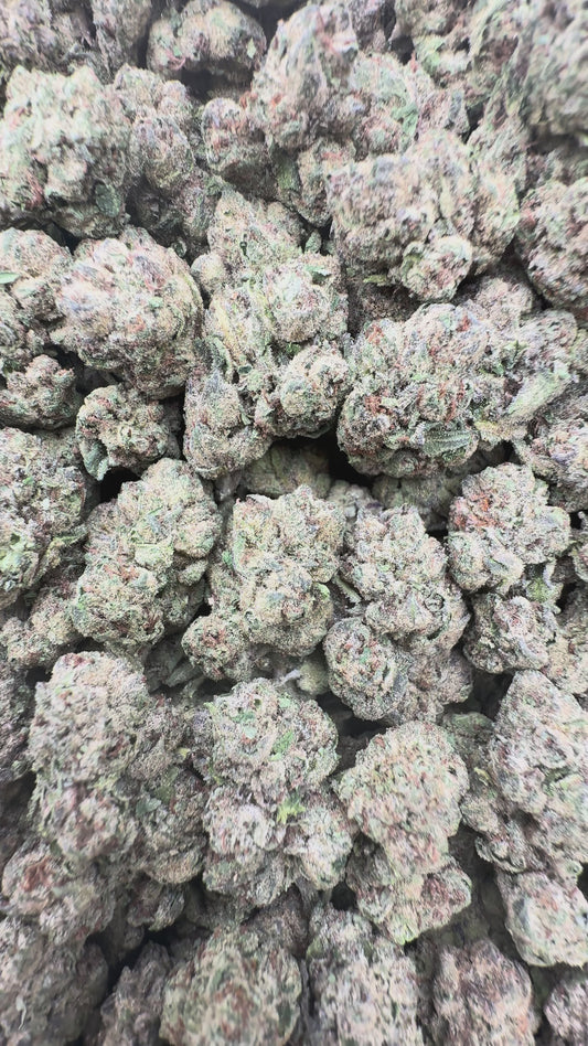 Gary Payton 29% Thca