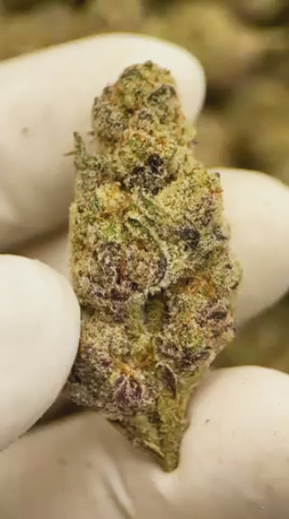 Purple Tesla 33% THCa