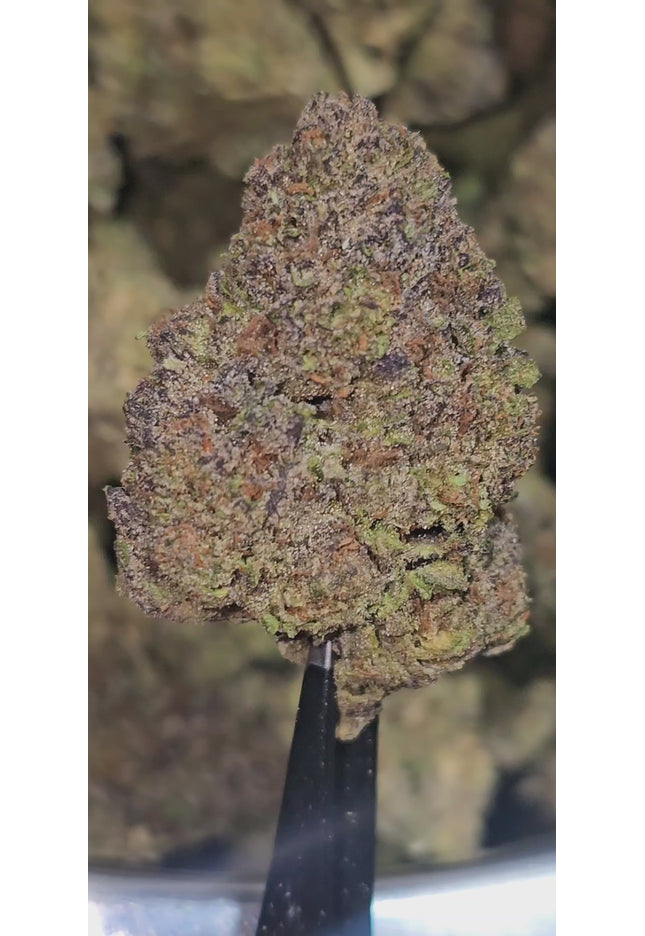 Z Runtz (Runtz OG) 32% THCa (Spark Tier)