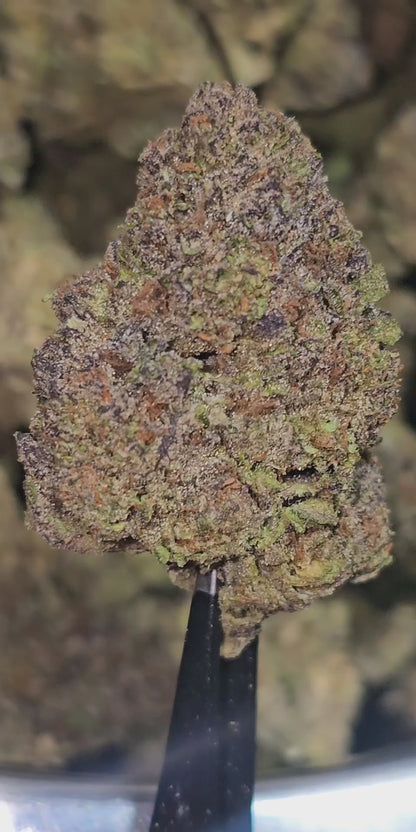 Z Runtz (Runtz OG) 32% THCa (Spark Tier)