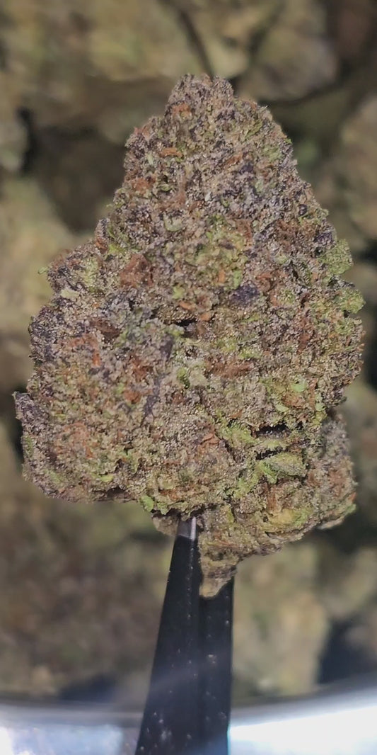 Z Runtz (Runtz OG) 32% THCa (Spark Tier)