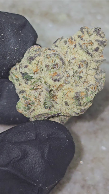 True Exotic RARE STRAIN Mix & Match 1/2OZ PACK