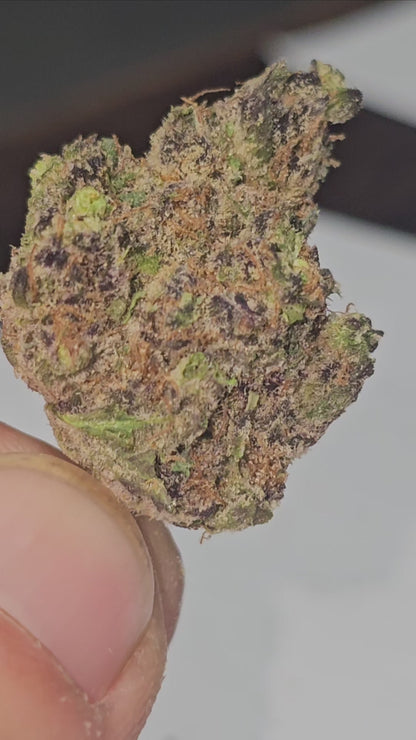 Mardi Gras Mambo OG 34% THCa