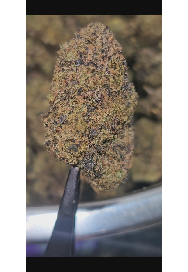 Z Runtz (Runtz OG) 35% THCa BULK
