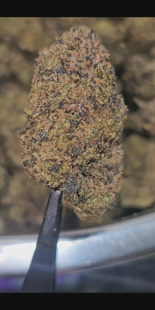 Z Runtz (Runtz OG) 35% THCa