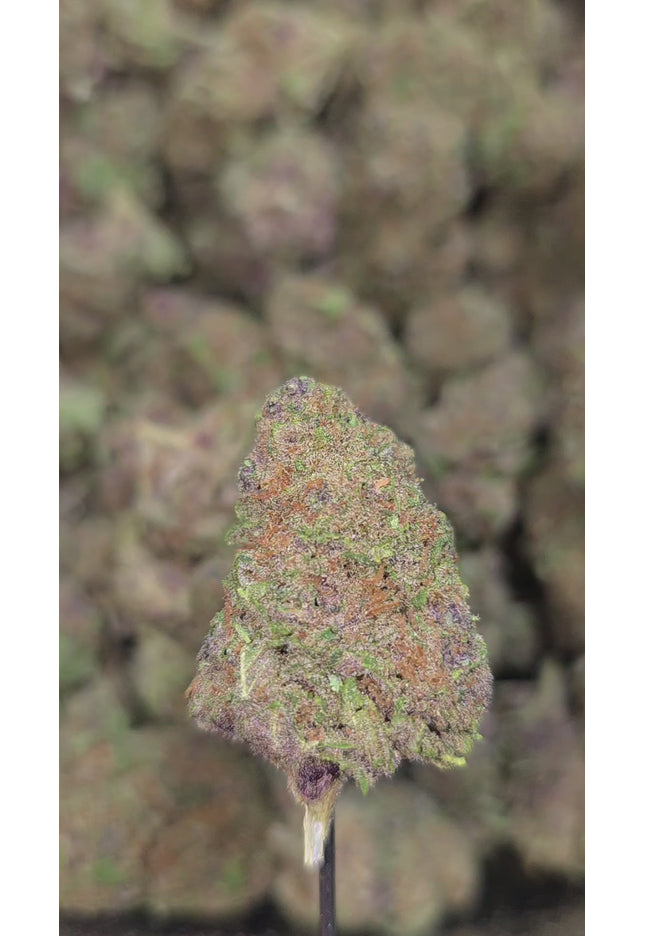SinMint 34% Thca Bulk