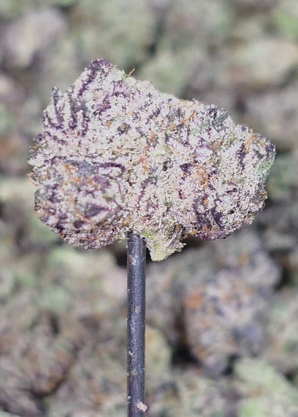 Cheap THCa hemp flower exotic bulk wholesale