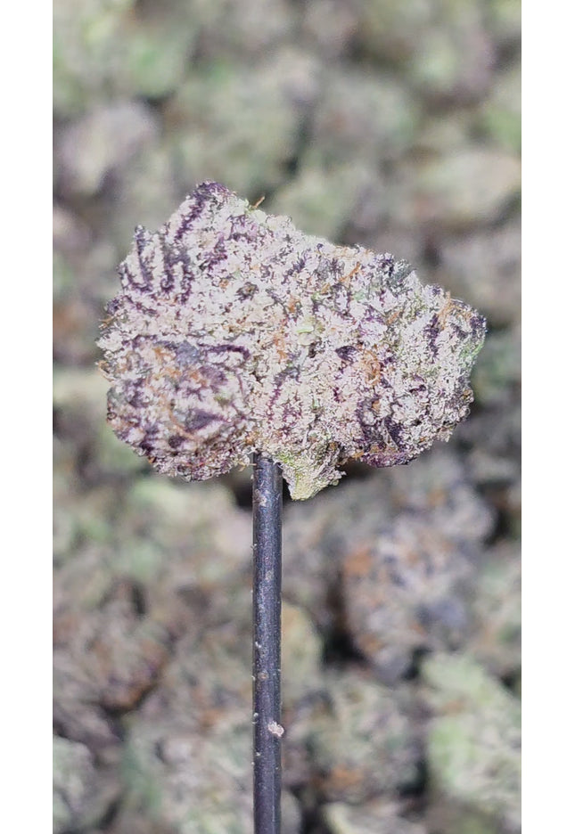Cheap THCa hemp flower exotic bulk wholesale