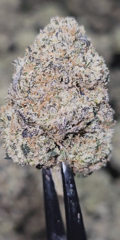 Rainbow Gasoline 35% Thca (RARE STRAIN)